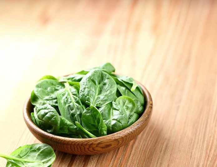 low-calorie high-nutrient smoothie recipes
