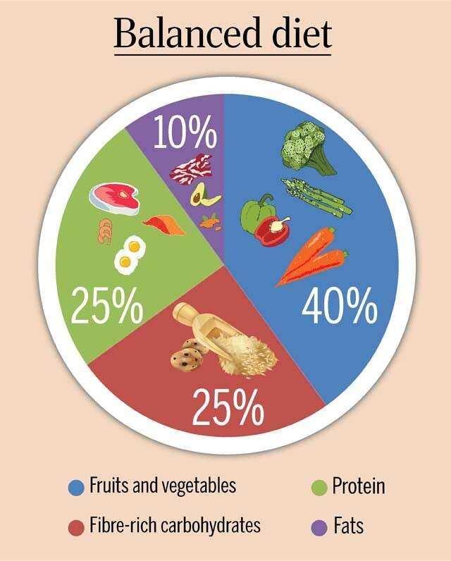 Nourishing Your Body with Balanced Choices