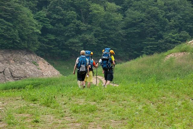 Simple Ways to Track Calories and Nutrients for Beginners