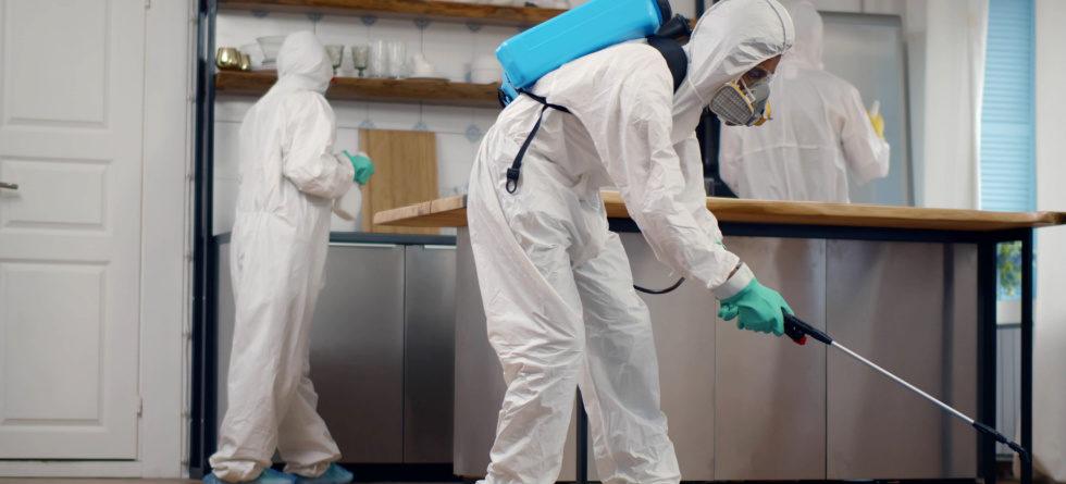 Transform Your Pantry with Smart Choices