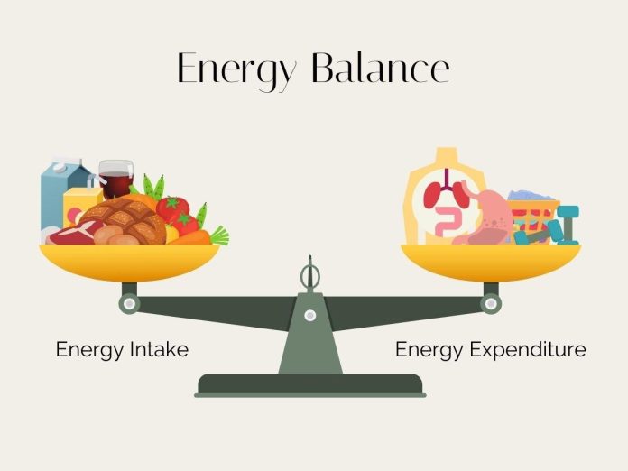 How to Find the Right Calorie Balance for Your Nutritional Needs