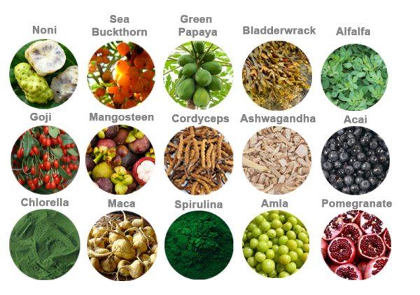 Vegan Superfoods You Should Add to Your Diet Now
