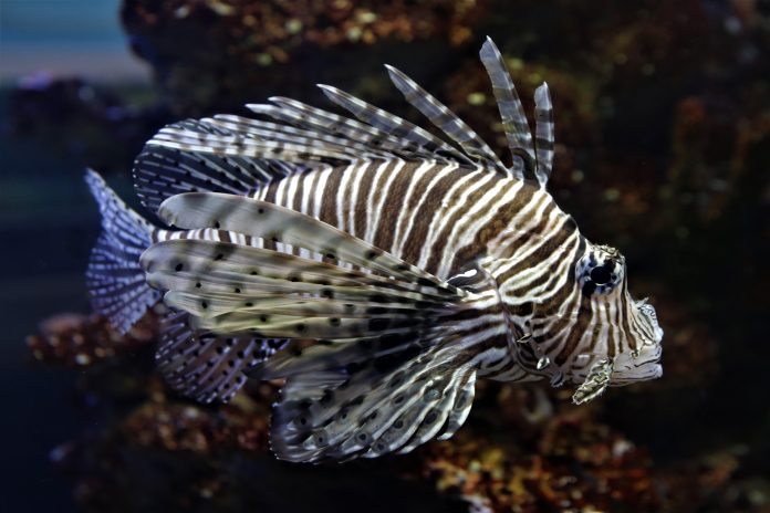 how to stick to a healthy eating routine