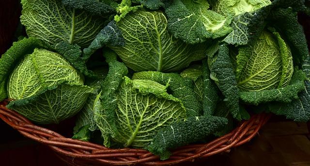 From Leafy Greens to Lean Proteins Discover the Best Choices