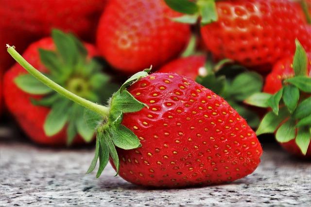 best meal plans for healthy eating on a budget