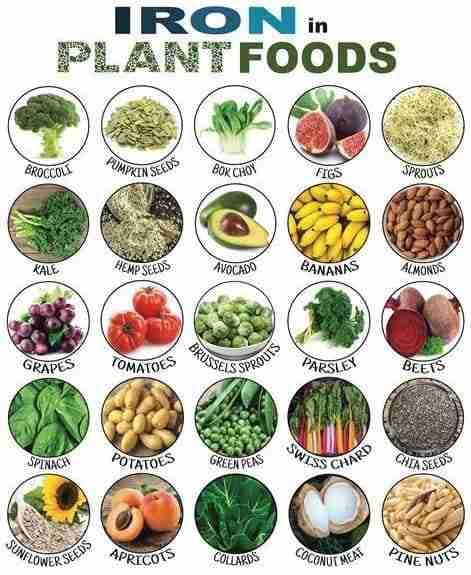 Plant Based Iron: How to Get Enough on a Vegan Diet