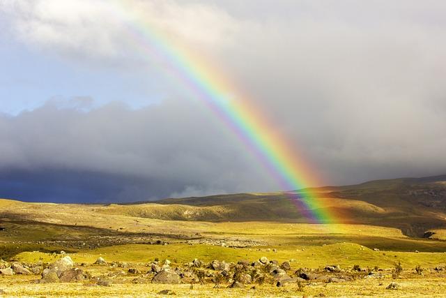 Savor the Rainbow of Nutrient-Rich Foods