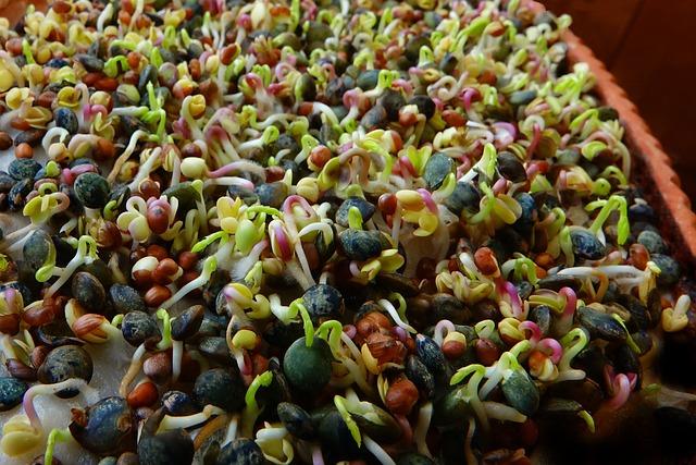 Decoding the Mystery of Nutrient Labels