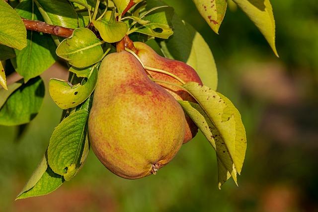 From Ingredients to Insights Navigating Nutrient Calculations with Confidence