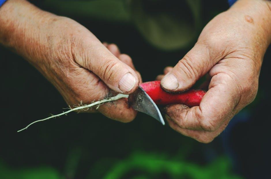 Building a Sustainable Eating Plan for the Future