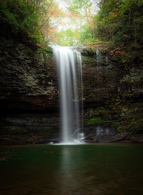 Mastering the Art of Macronutrient Harmony