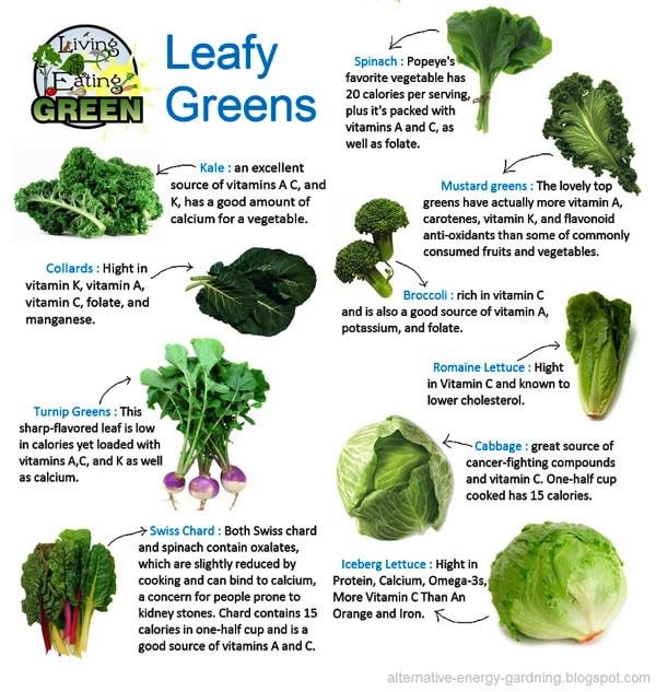 From Leafy Greens to Lean Proteins: A Journey to Optimal Nutrition