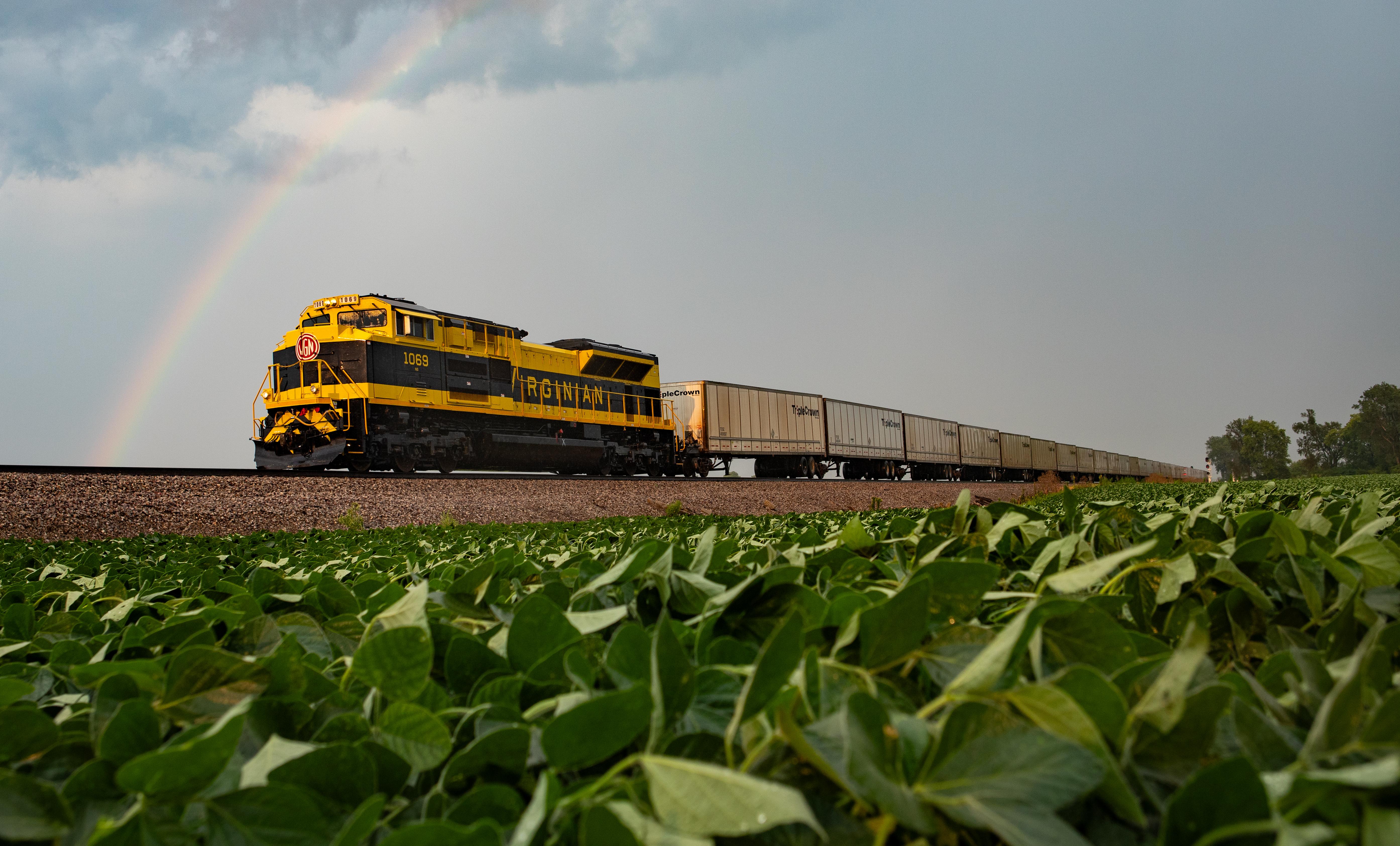 Embrace the Rainbow of Fresh Produce