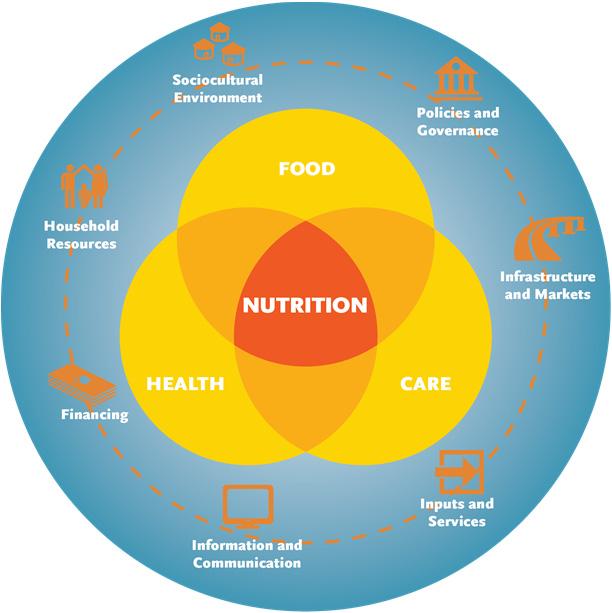 Unveiling Features that Elevate Your Nutrition Game